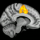Illustration for article titled Science Finally Explains Slackers